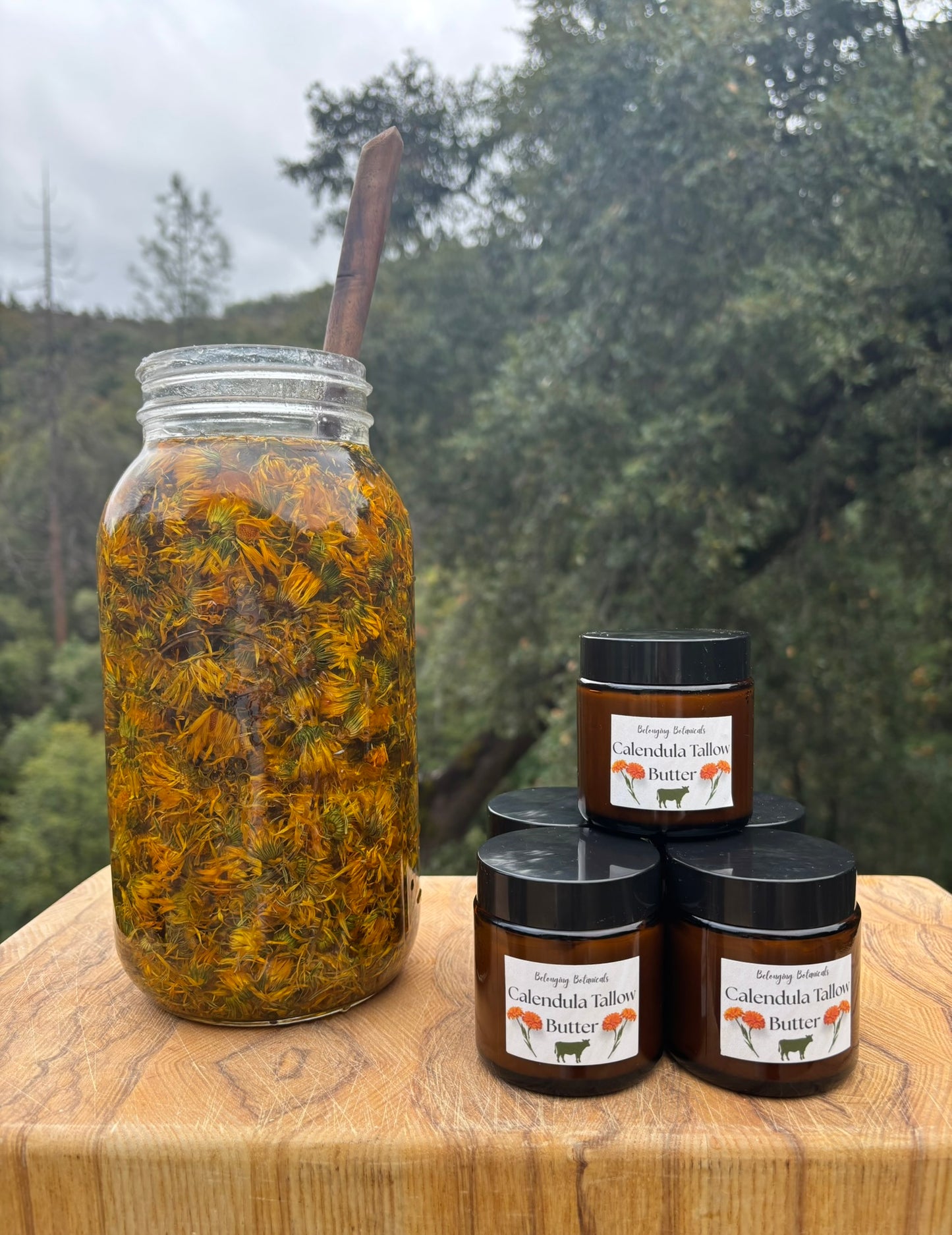 Calendula Whipped Tallow Butter