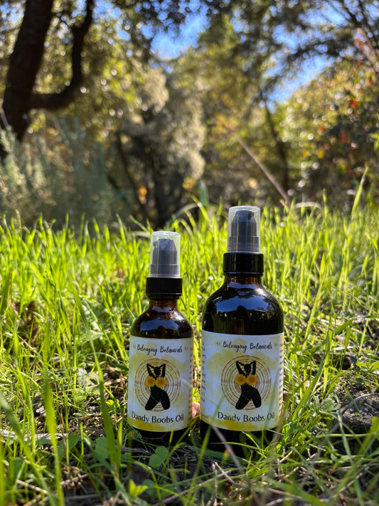 Dandy Boobs Breast Oil