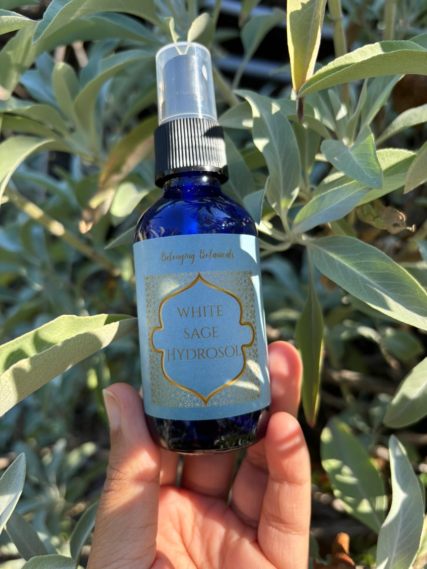 White Sage Hydrosol
