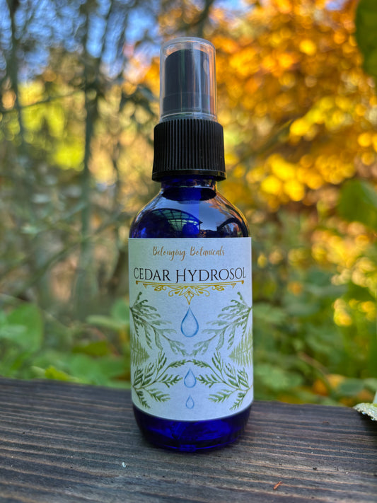 Cedar Hydrosol