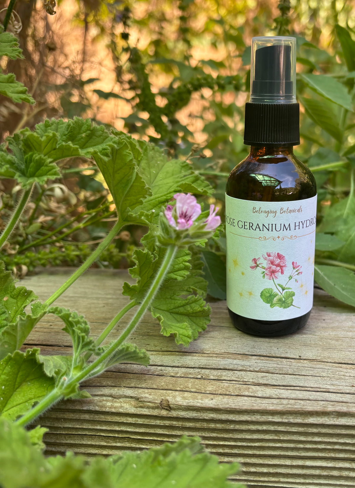 Rose Geranium Hydrosol