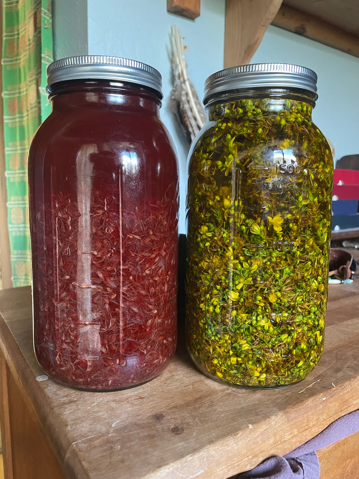 St Johns Wort Oil