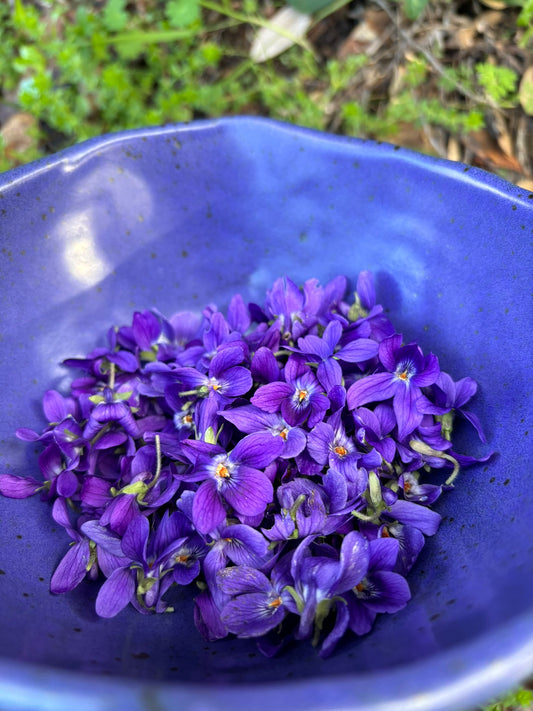 Sweet Violet Flower Nectar