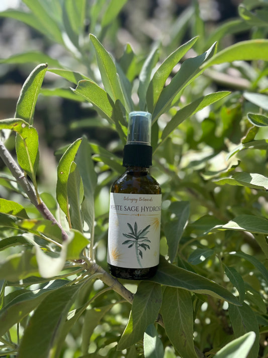 White Sage Hydrosol